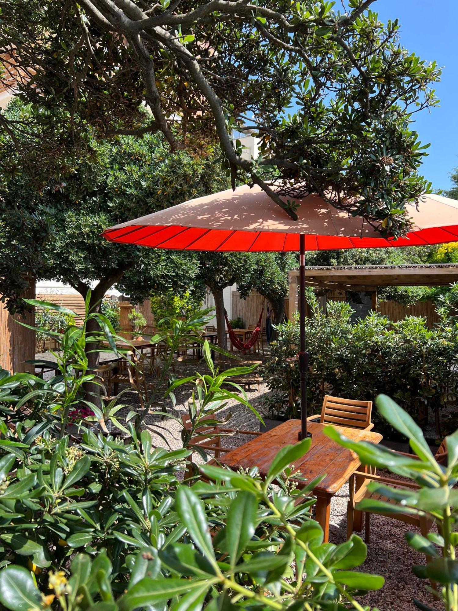 All'Etrusconia Hotel Castagneto Carducci Marina di Castagneto Carducci Ngoại thất bức ảnh